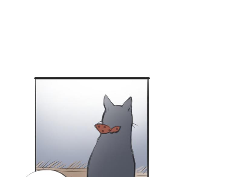 第4话 逃离猫咪王国？46