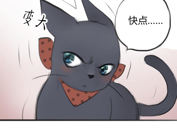 第4话 逃离猫咪王国？85