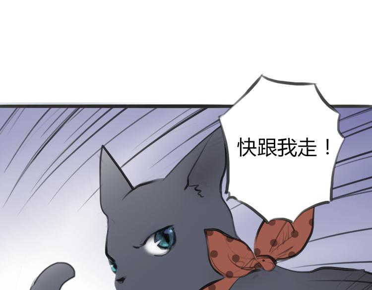 第4话 逃离猫咪王国？54