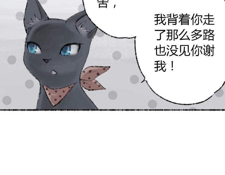 第2话 神奇的猫咪王国52