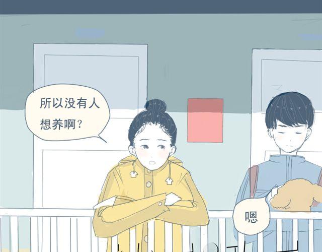第7+8话 两个人一起养狗培养感情58