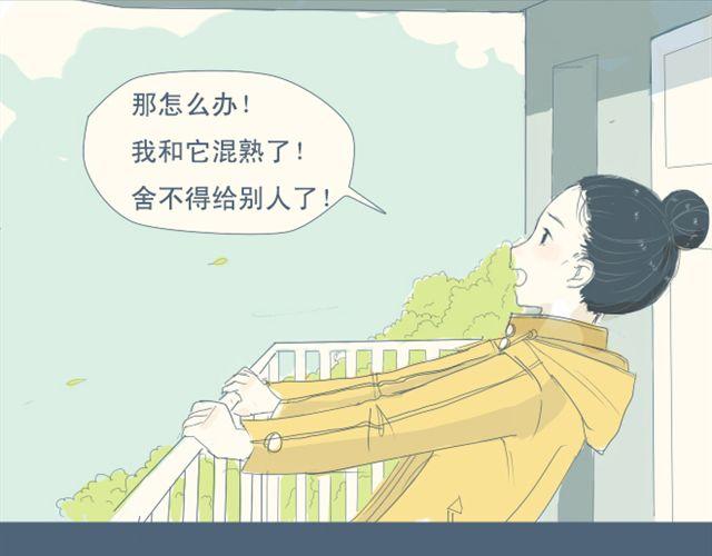 第7+8话 两个人一起养狗培养感情62
