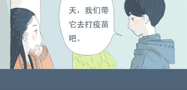 第7+8话 两个人一起养狗培养感情79