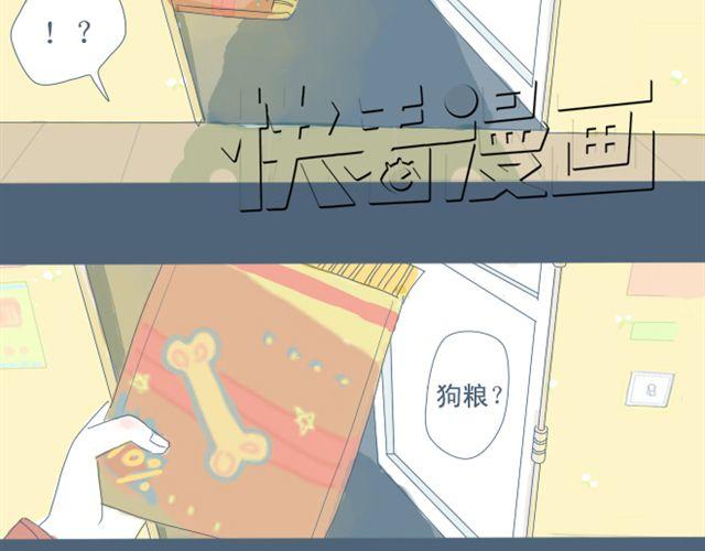 第7+8话 两个人一起养狗培养感情44