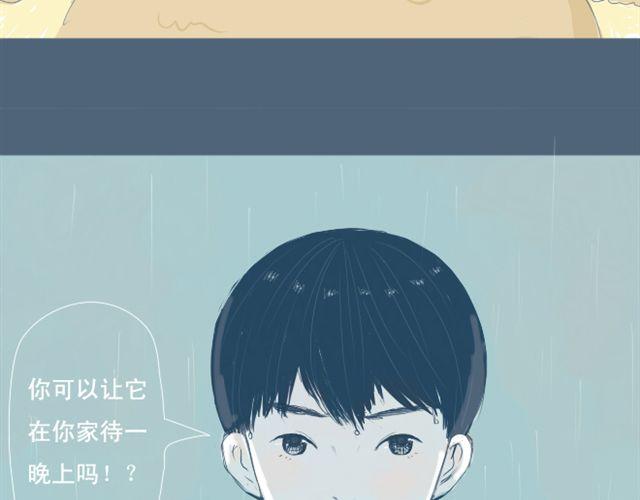 第5+6话 可以收留它么？69