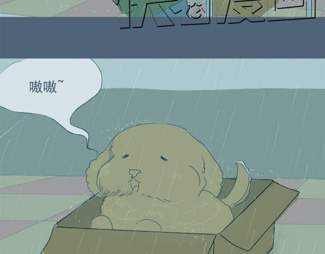 第5+6话 可以收留它么？56