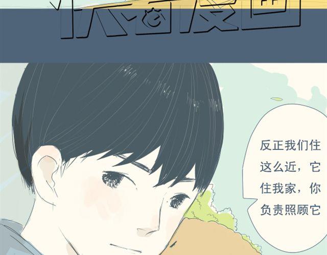 第7+8话 两个人一起养狗培养感情64