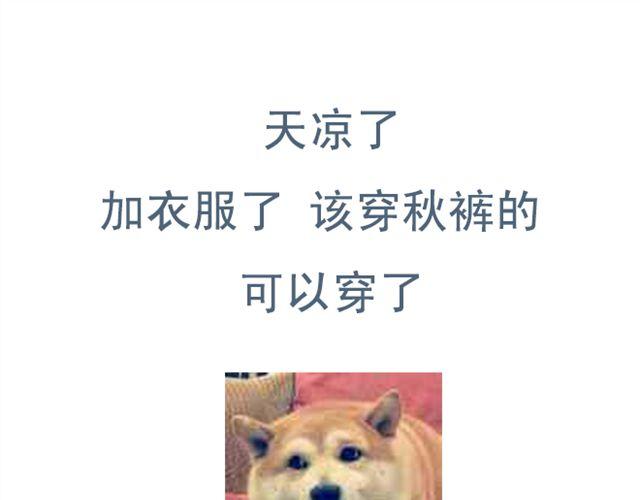 第5+6话 可以收留它么？73