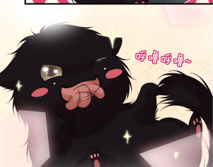序章 蠢萌喵星王子苦追妻7