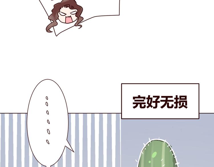 第1话 最帅仙人掌登场！26