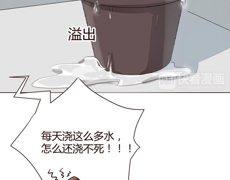第1话 最帅仙人掌登场！25