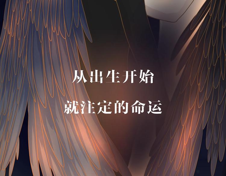 新连载 太阳的树3