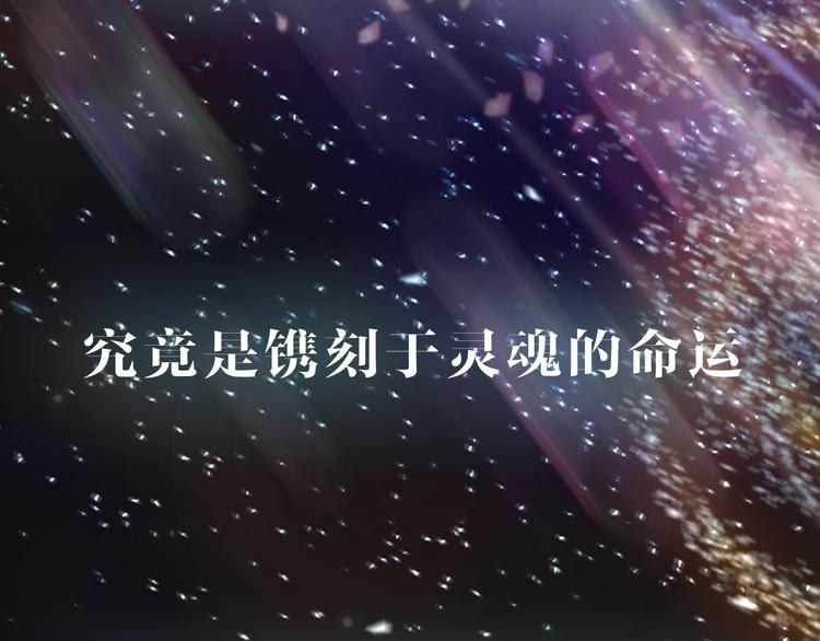新连载 太阳的树28