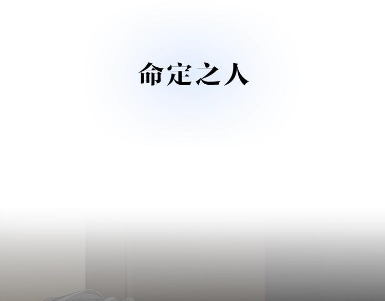 新连载 太阳的树21