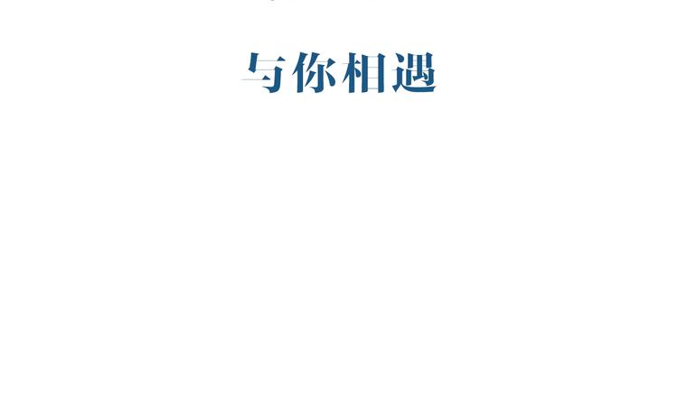 新连载 太阳的树32