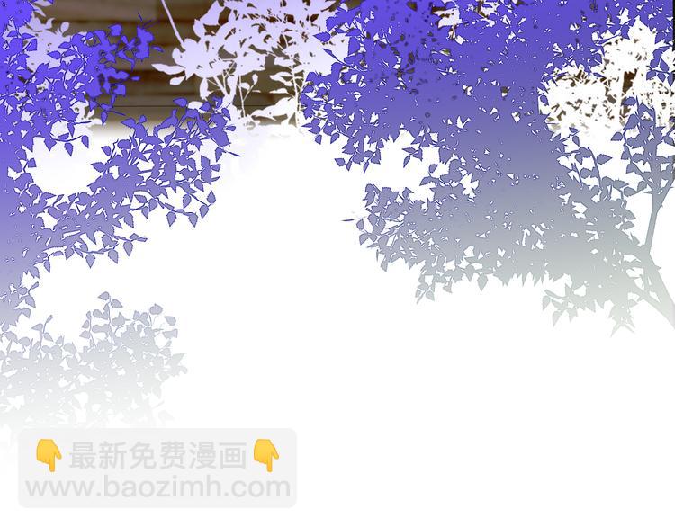 完结篇  从不悔与你相遇57