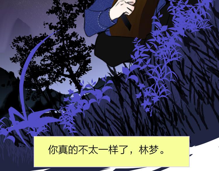 完结篇  从不悔与你相遇95