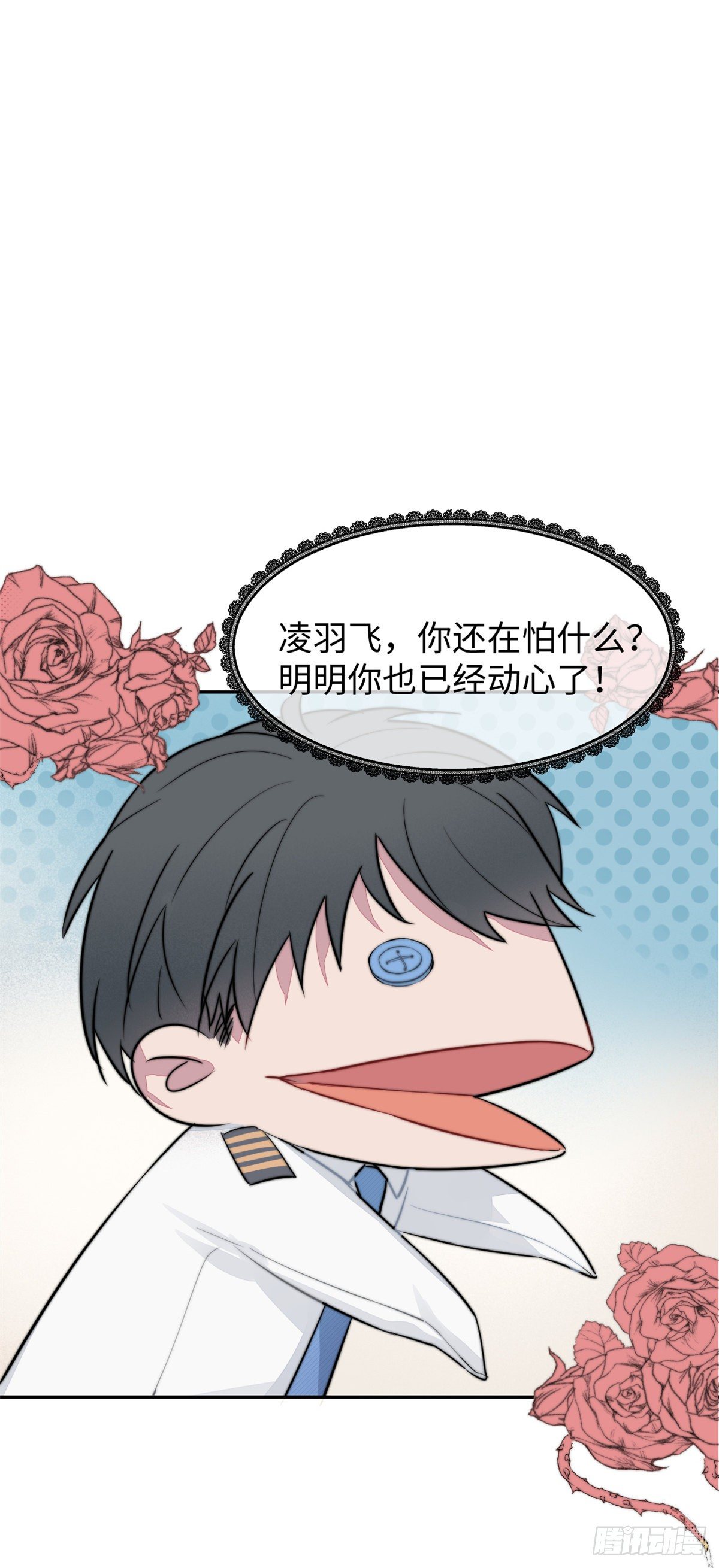 正式预告0