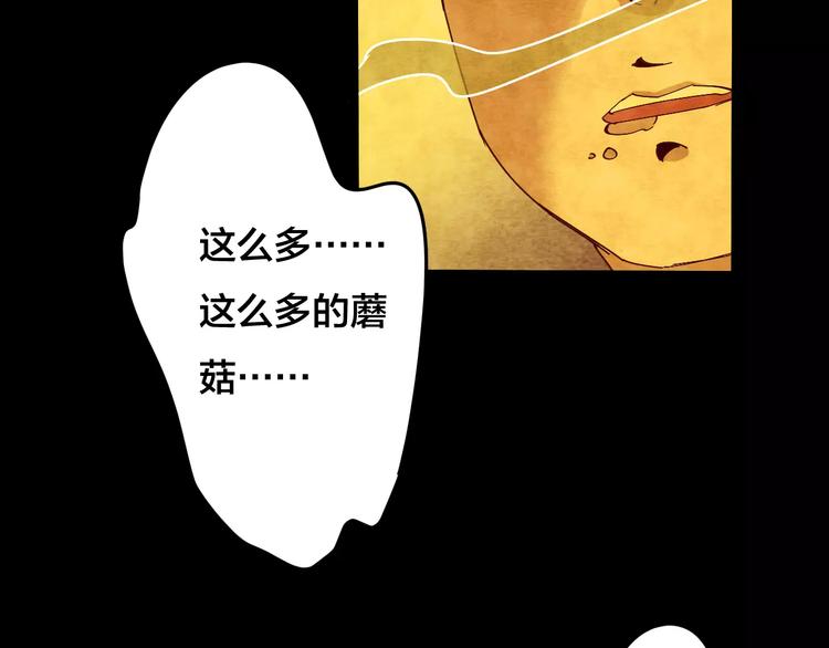 第24话 蘑菇汤（五）99