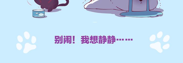《别闹，我想静静》预售9