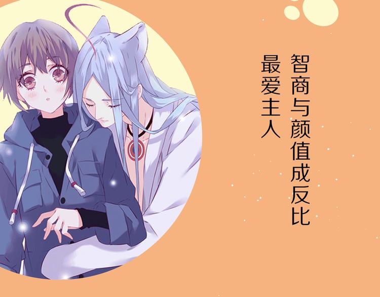 萌宠美男！8月4日即将上线！4