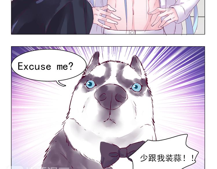 第6话 只想吃你的皇家狗粮10