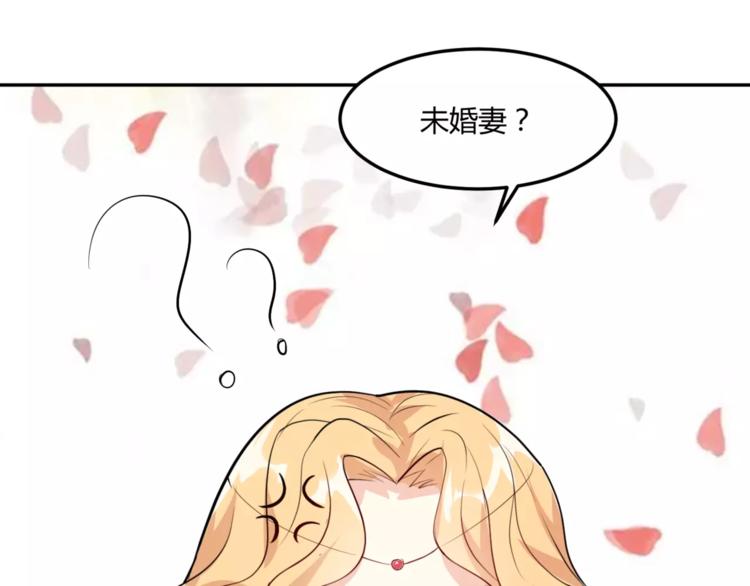 第14话 揭露王子计划23