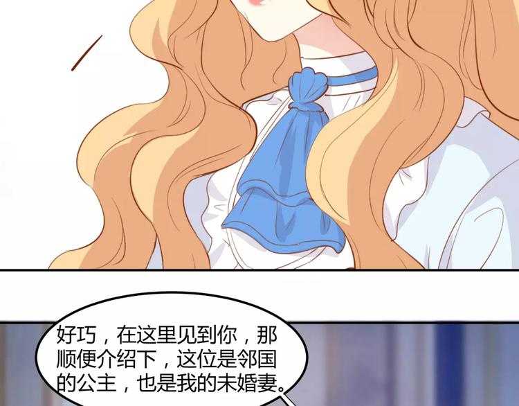第14话 揭露王子计划19