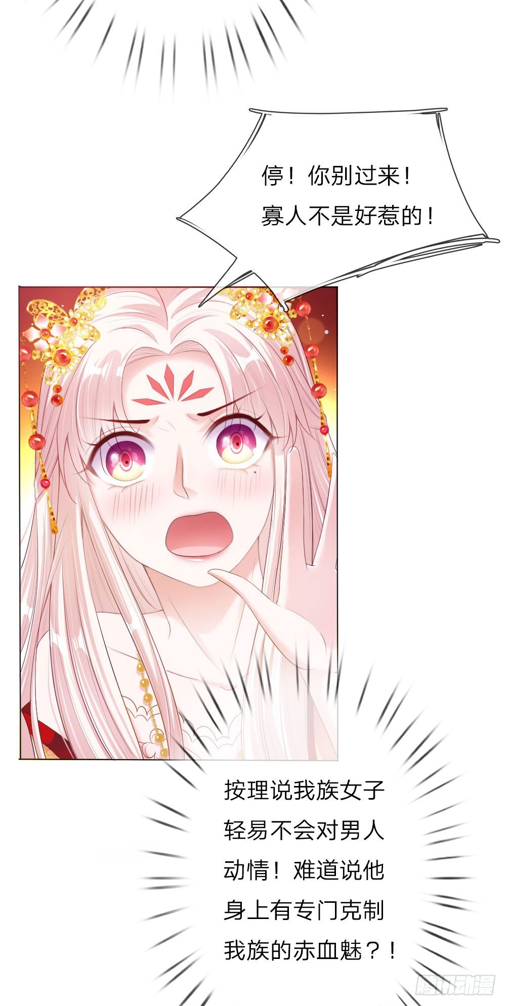 第5话 刺猬—本命护体3