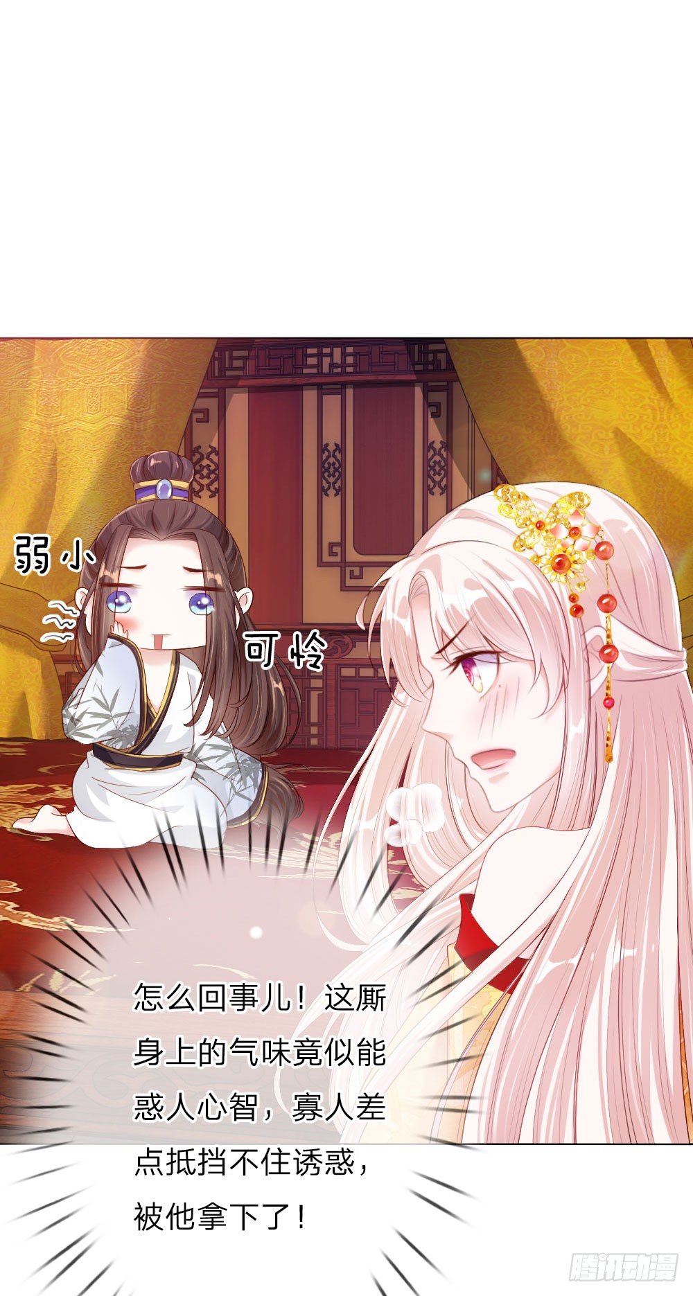 第5话 刺猬—本命护体2
