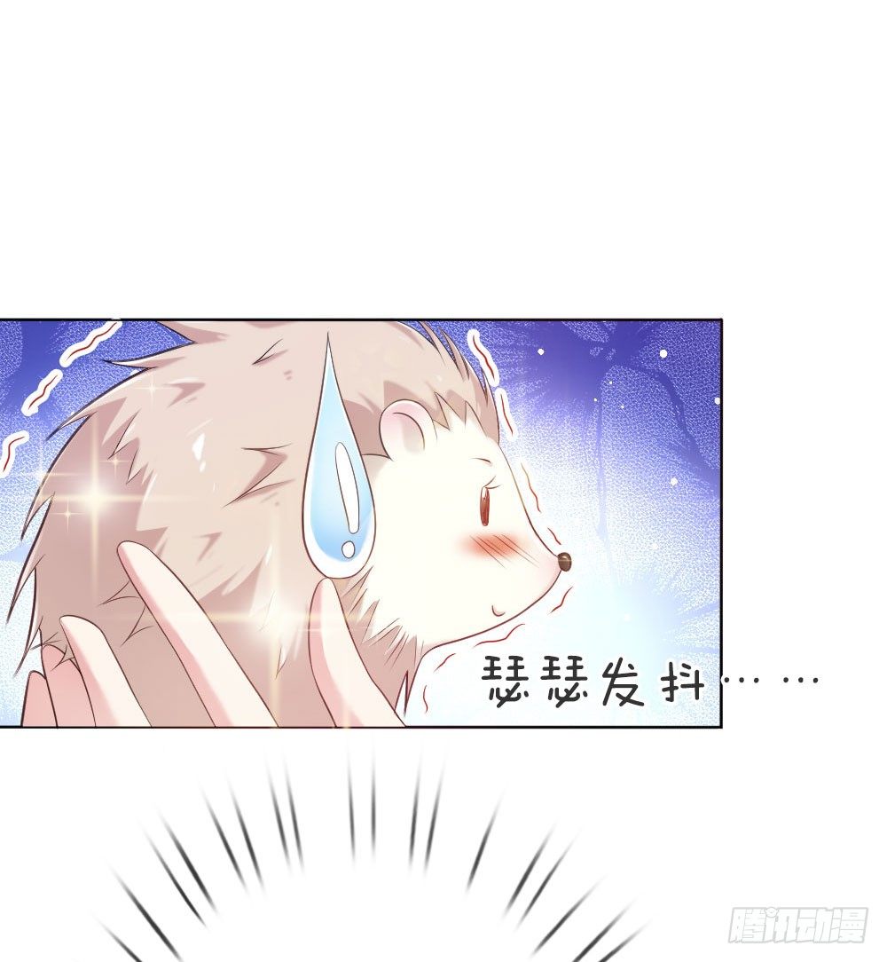 第5话 刺猬—本命护体15
