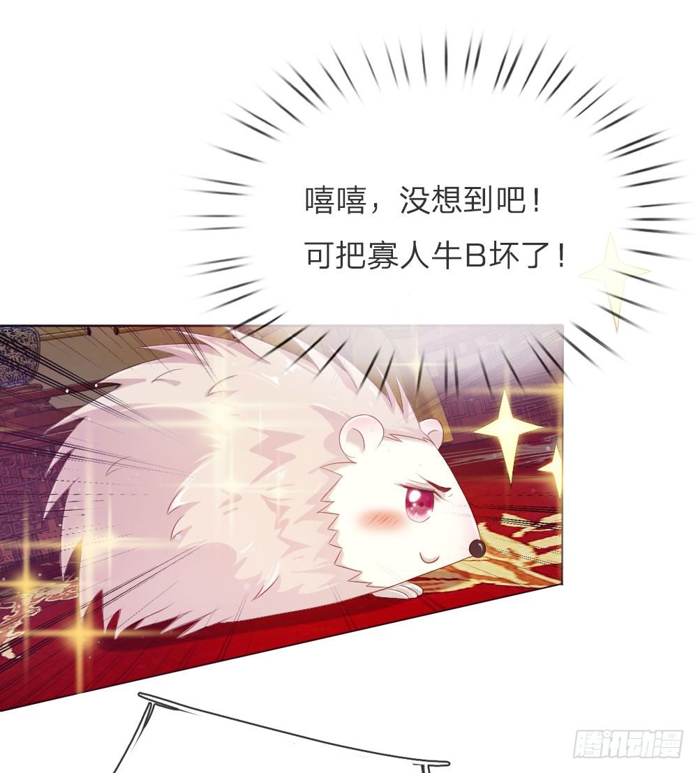 第5话 刺猬—本命护体17