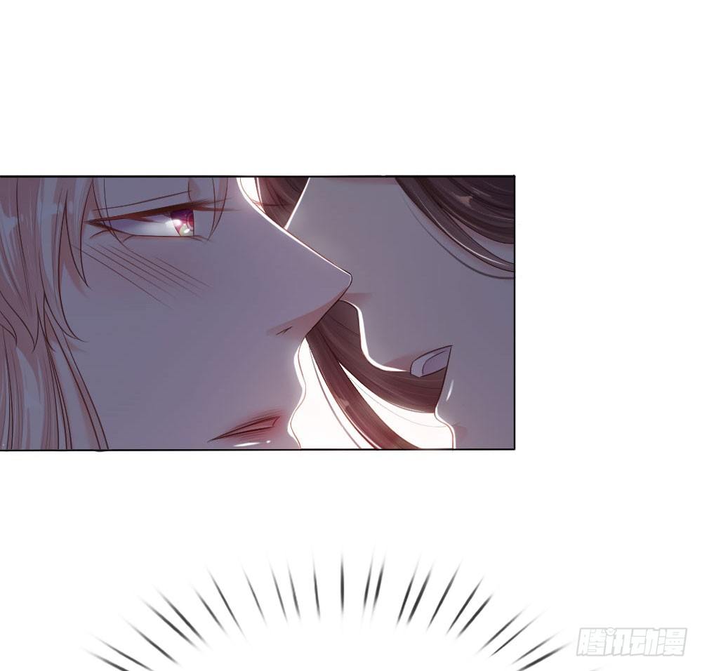 第5话 刺猬—本命护体10