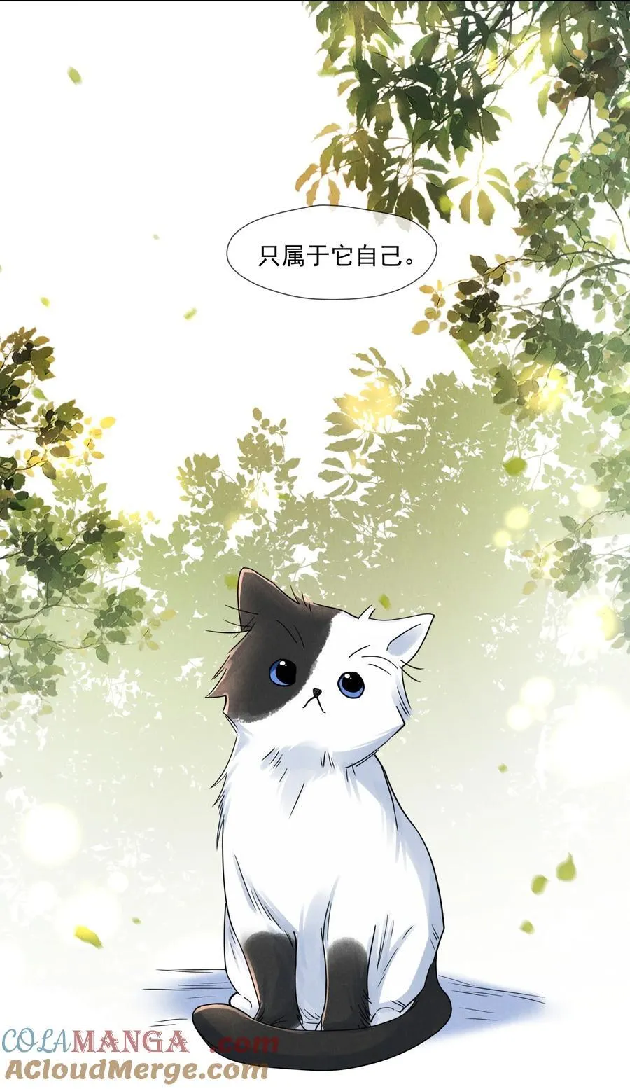 020 再见了，麦麦57