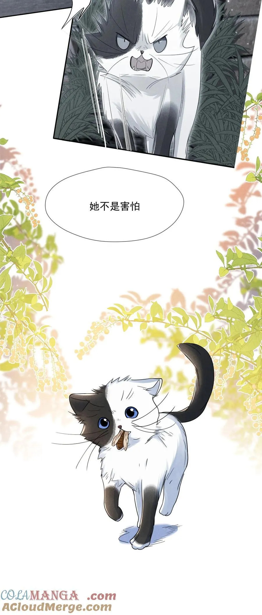 020 再见了，麦麦51