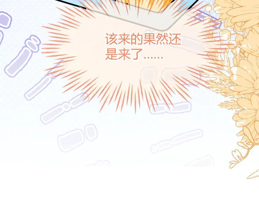 安妮的匹配对象63
