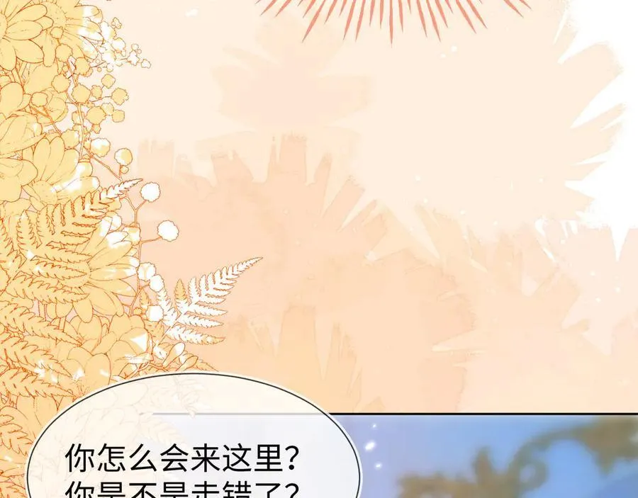 安妮的匹配对象118