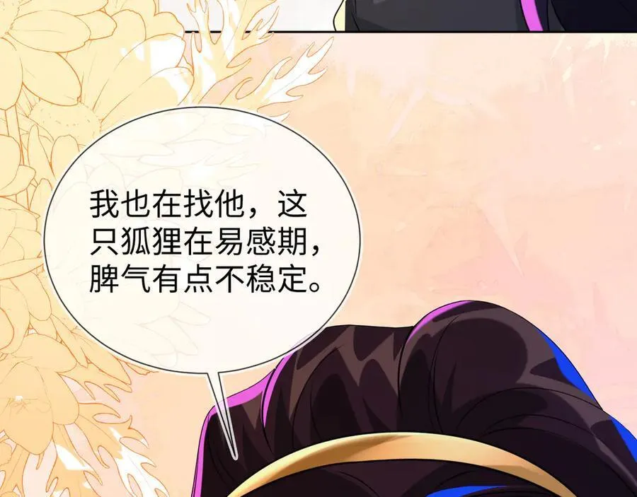 傻狐狸找到了81