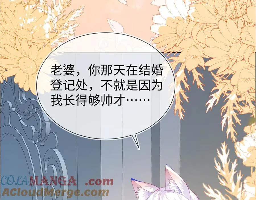 安妮的匹配对象80