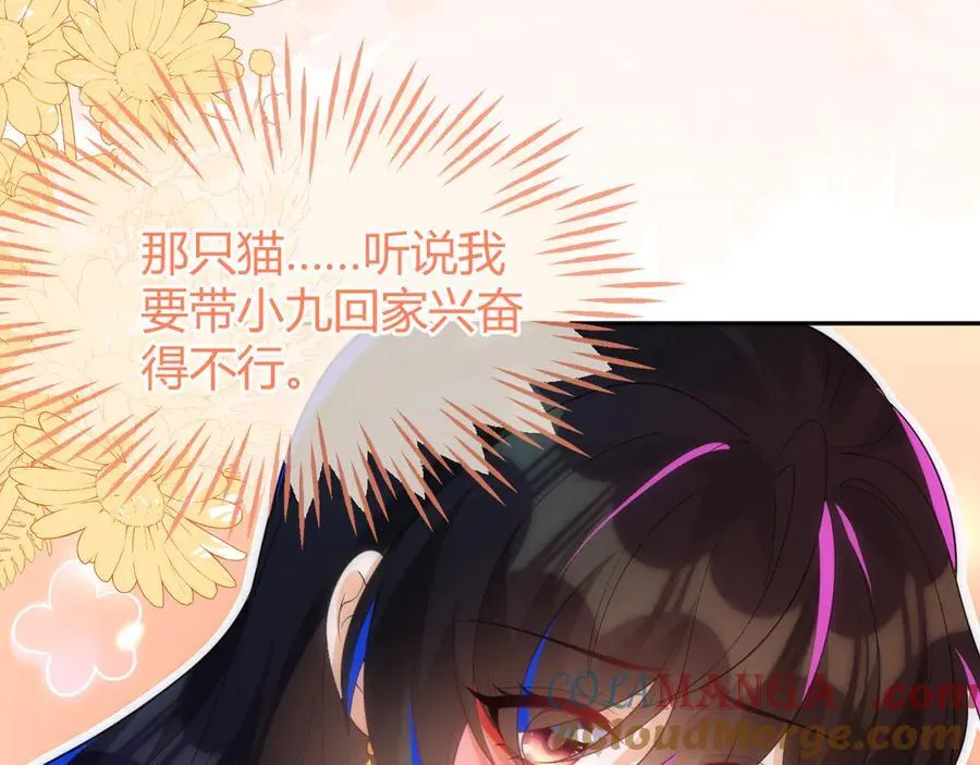 带你回家！20