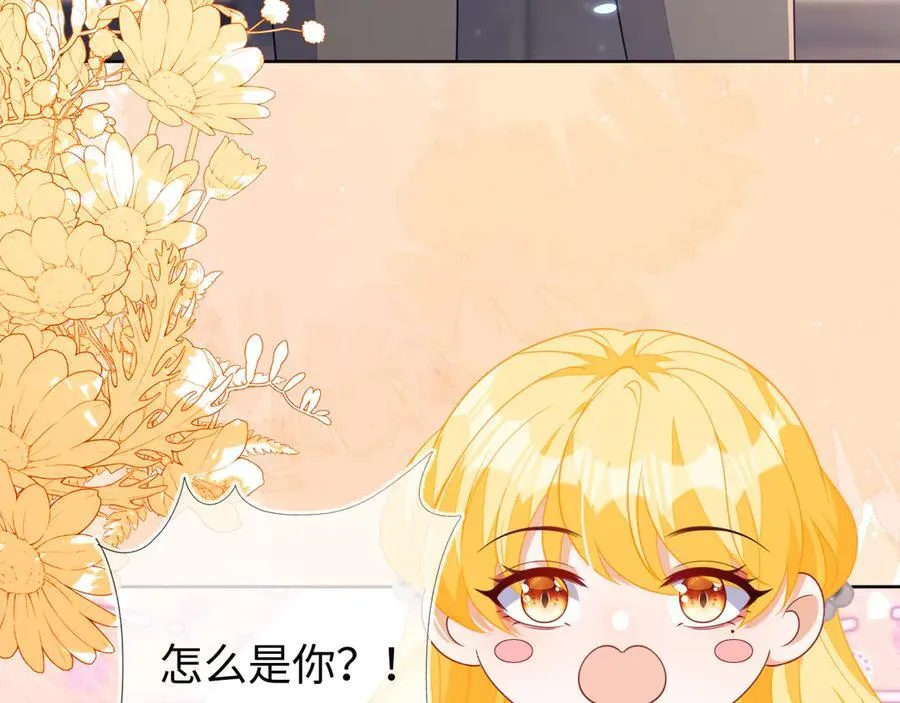 安妮的匹配对象113