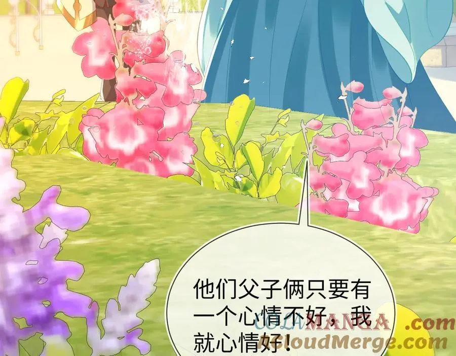 安妮的匹配对象40