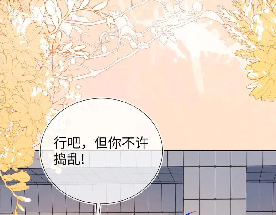 安妮的匹配对象70