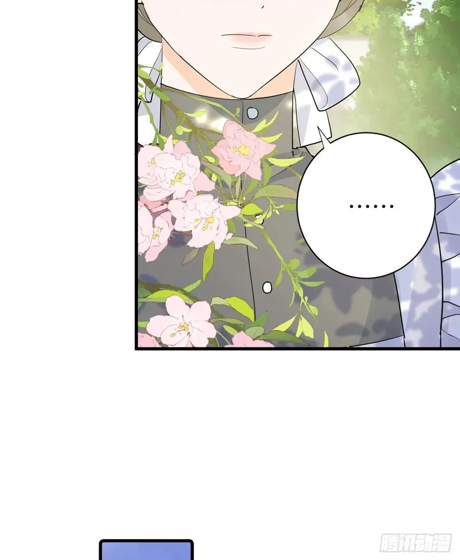 地下室与月桂花环22