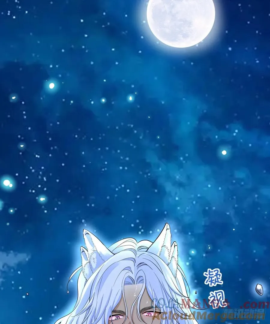 月色撩人12