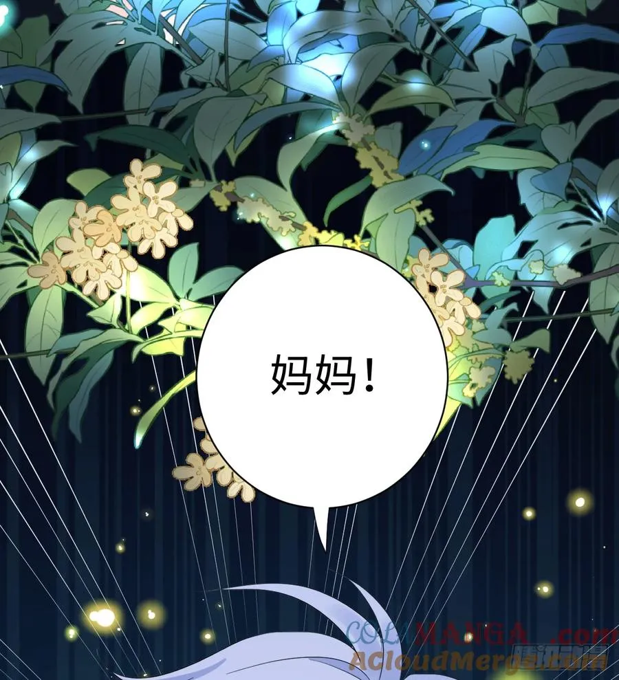 地下室与月桂花环42
