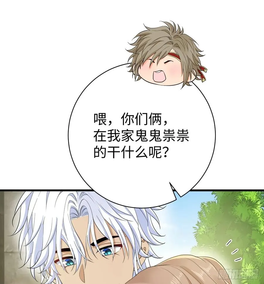地下室与月桂花环5