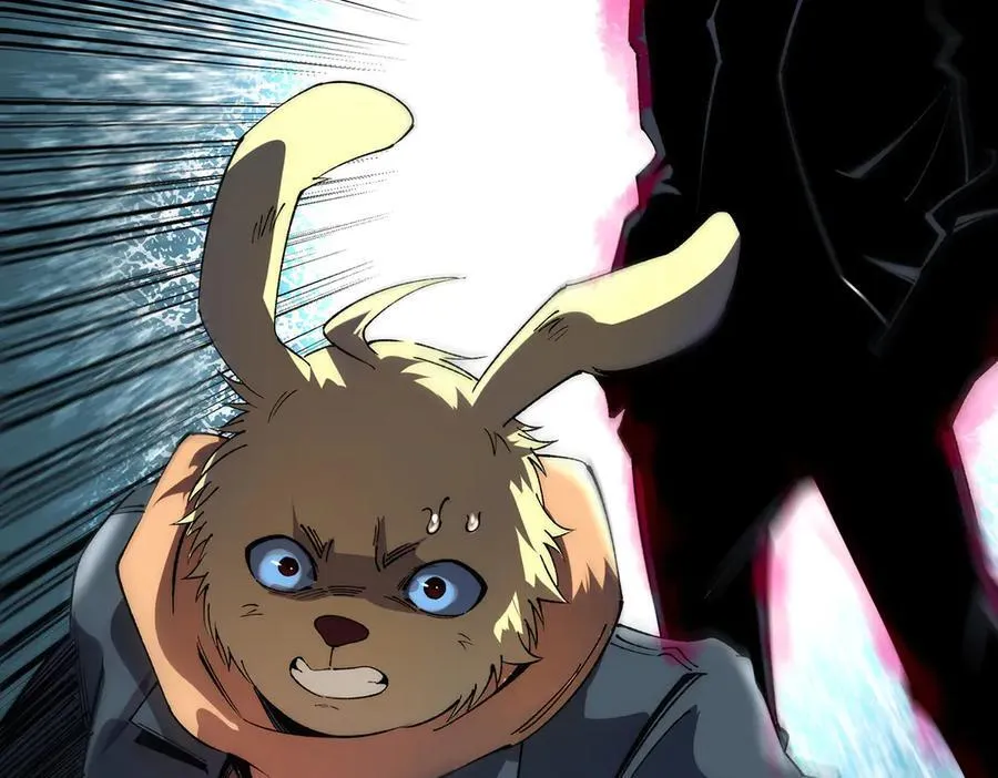 26117