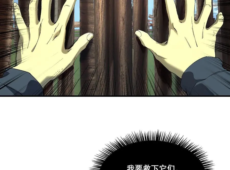 27126