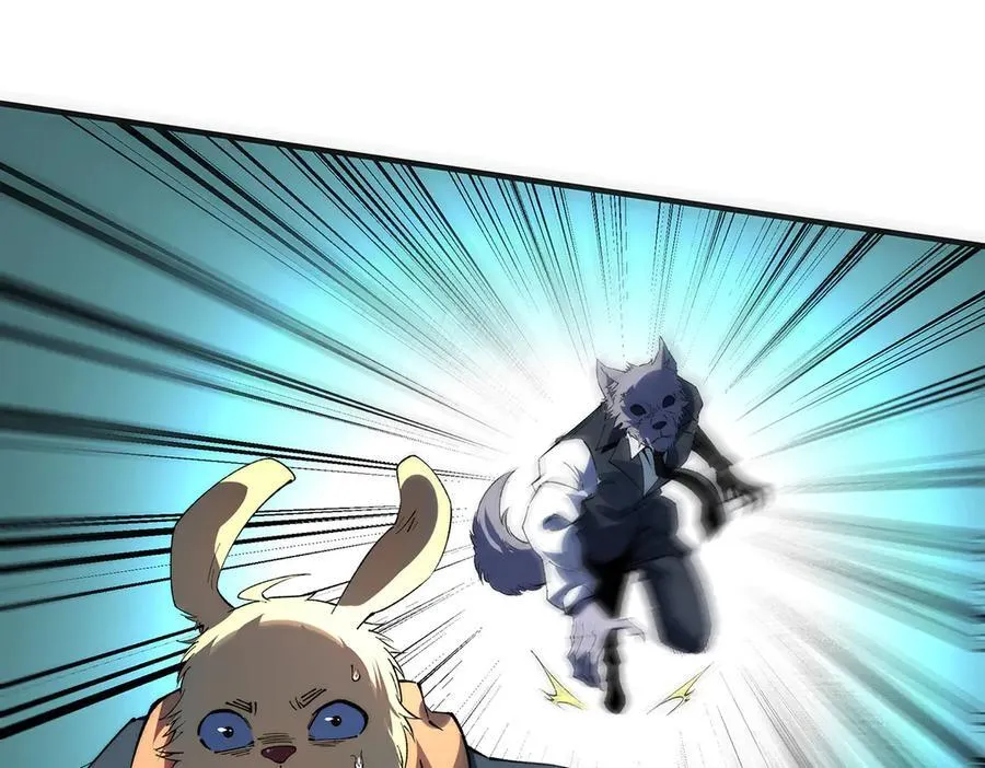 26123